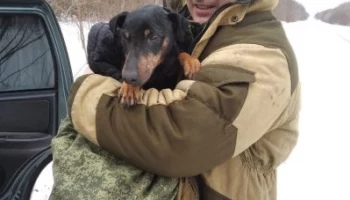 В Курской области охотник 5 суток искал собаку