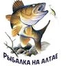 Рыбалка на Алтае