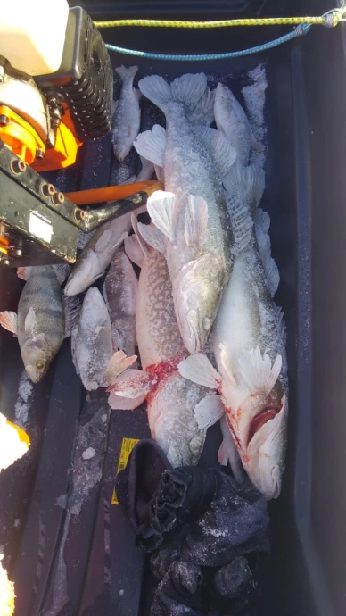 Зимняя рыбалка в Казахстане, февраль 2022